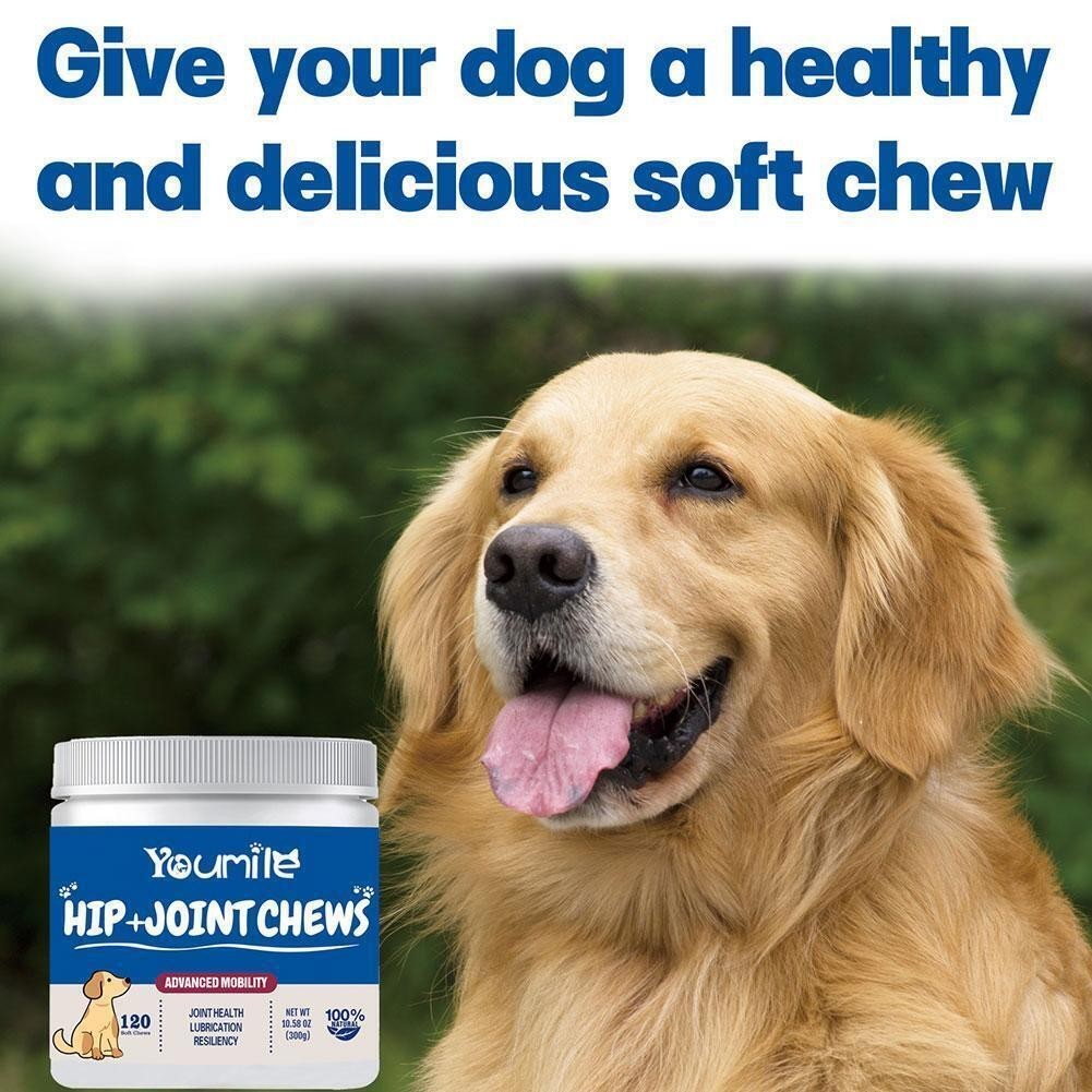 Joint Supplement, Dog in 1 CT Multivitamins and 120 Dog Supplements, Hip and 15