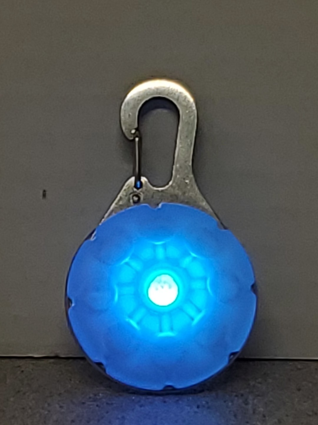LED Dog Collar Light Clip On for Pet Safety