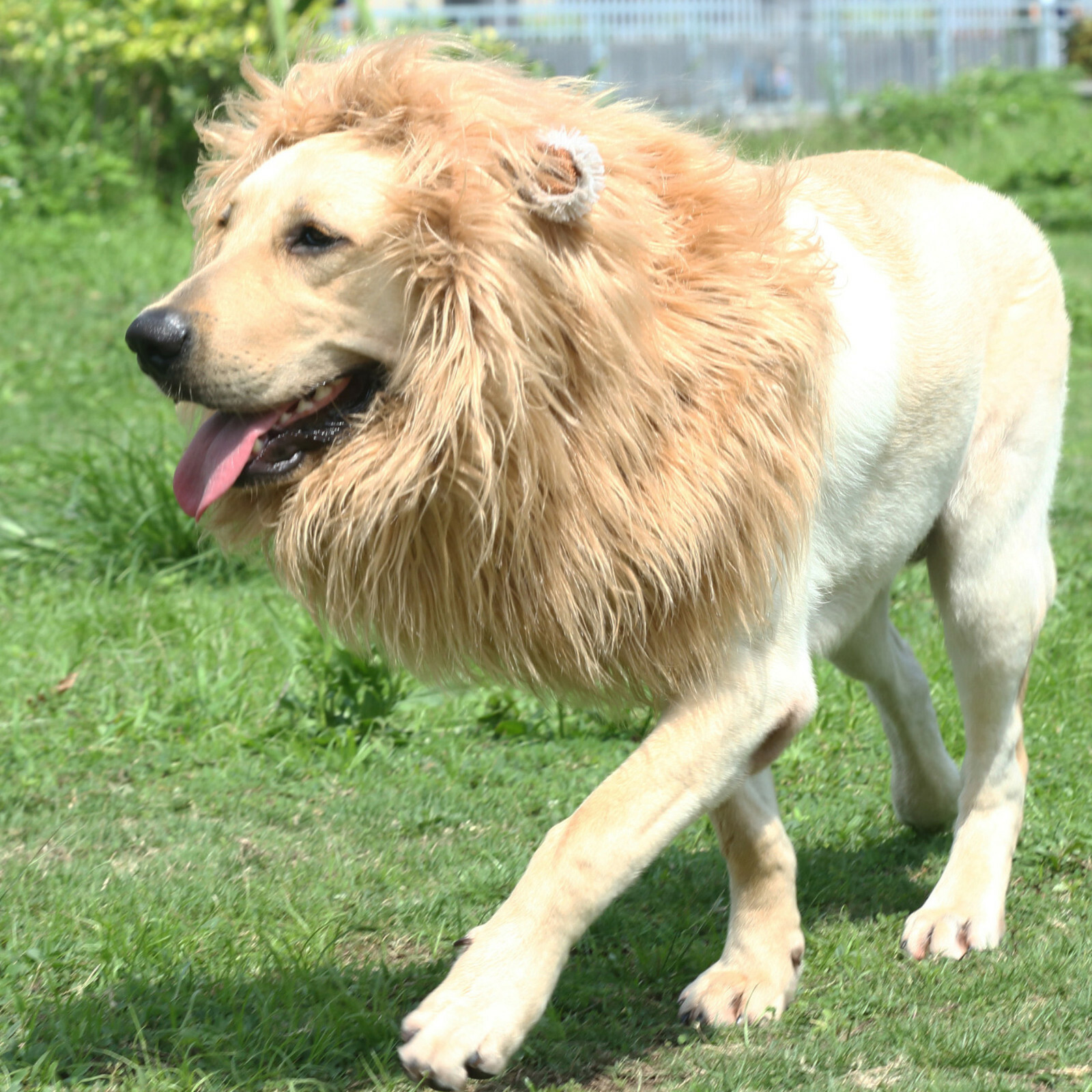 Lion Mane for Dogs, Funny Halloween Costume Apparel for Dogs, Snoods for Dogs