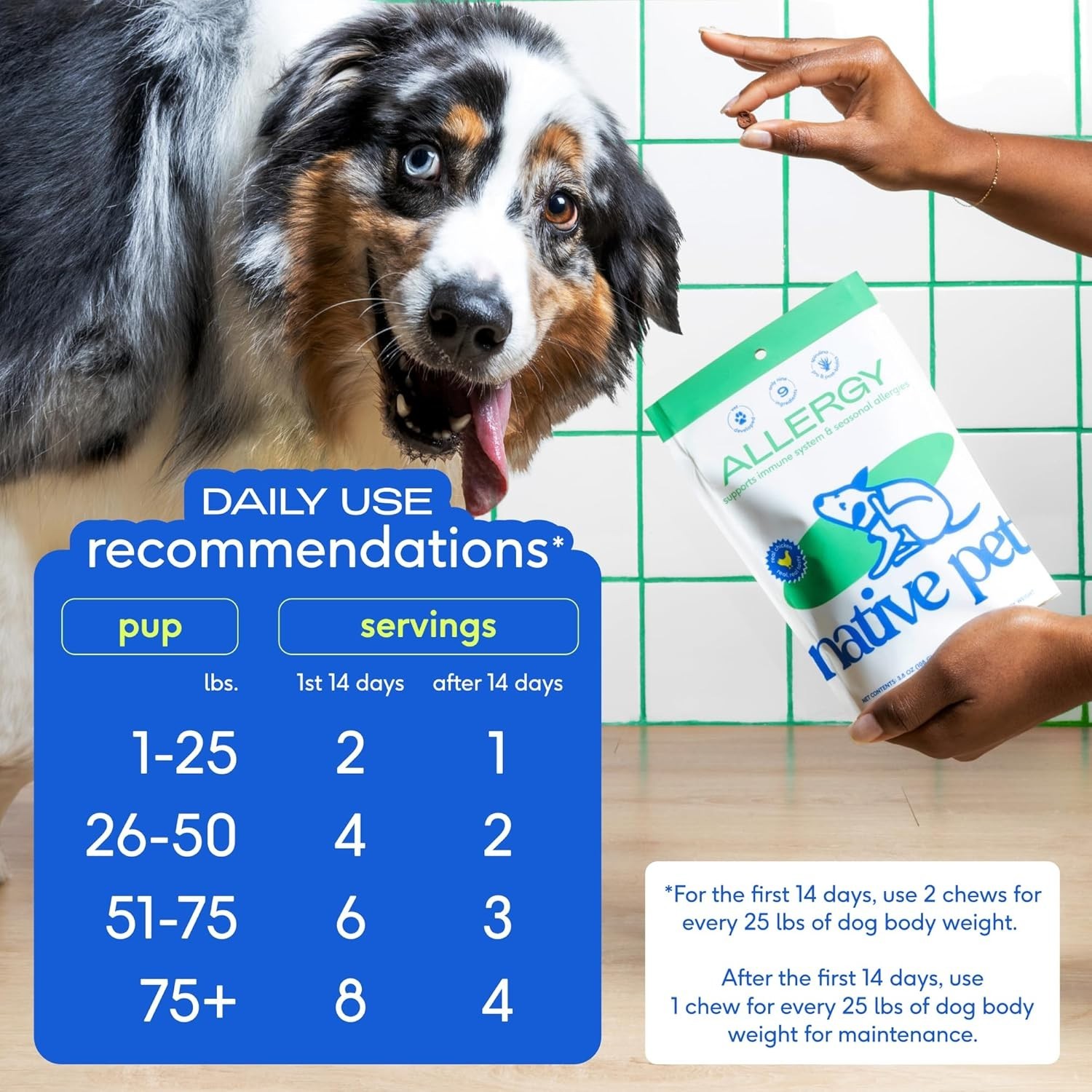 Native Pet Dog Allergy Chews 120ct | Itchy Skin & Allergy Relief | USA Natural