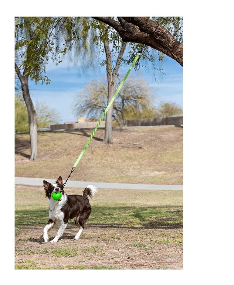 Jolly Pets Tree Tugger Green