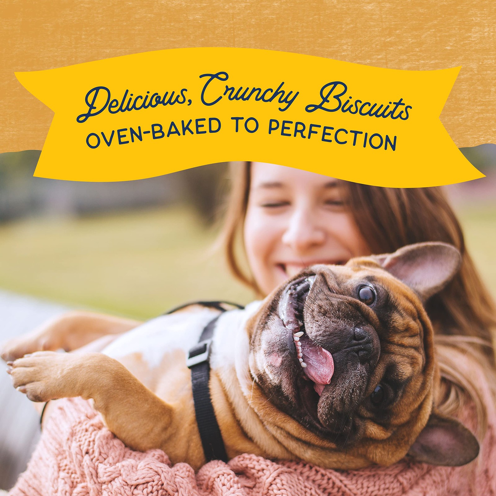 Natural Balance Limited Ingredient Rewards Crunchy 1.75 Pound (Pack of 1)