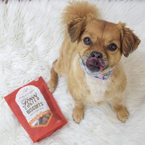 Freeze-Dried Raw Coated Biscuits Dog Treats 9 Ounce (Pack of 1) Beef