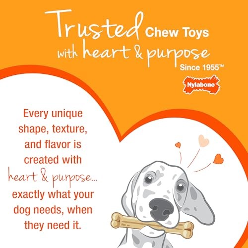Nylabone Power Chew Small Textured Ring Durable Dog Toy for Aggressive Chewers