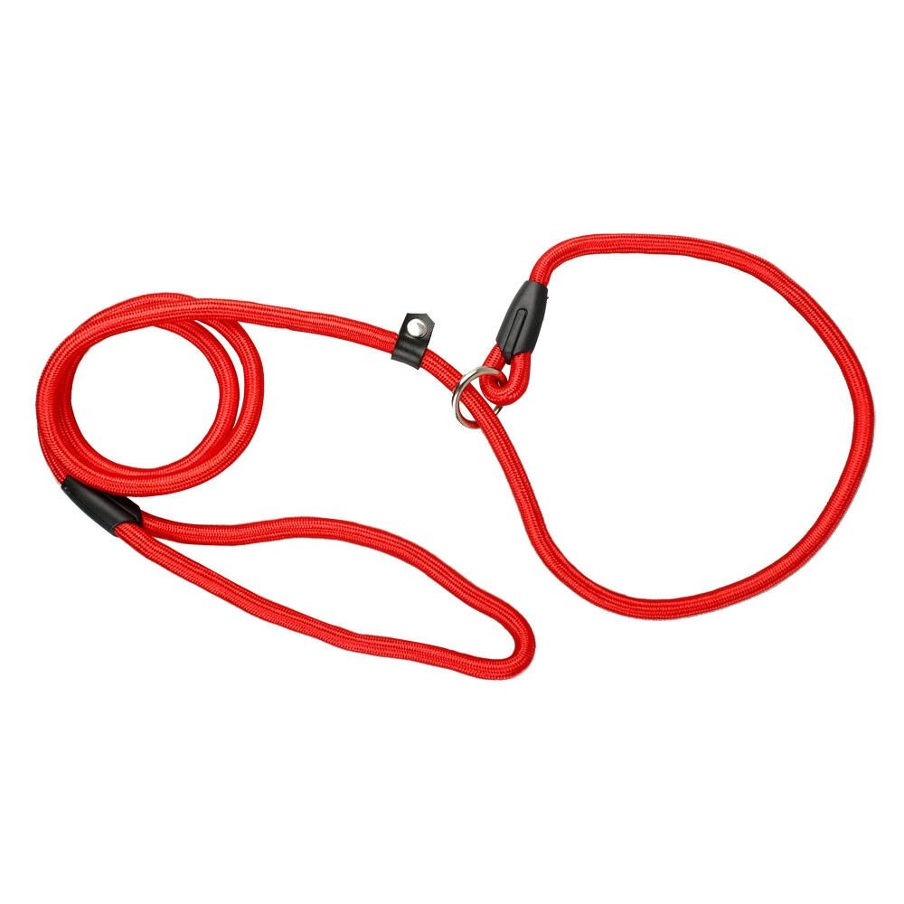 4ft Dog Nylon Adjustable Loop Slip Rope Leash Lead Training Choke Pet Collar USA