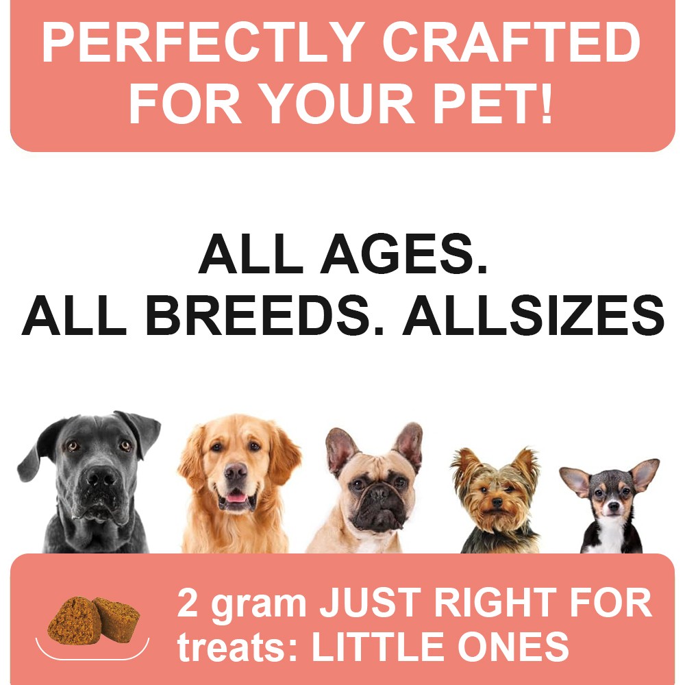 Probiotics for Dogs Soft Chews for Seasonal Allergies, Gut, and Digestive Health