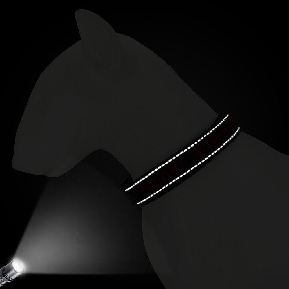 Personalized Dog Collar – Embroidered Reflective Nylon with ID, Name & Phone US