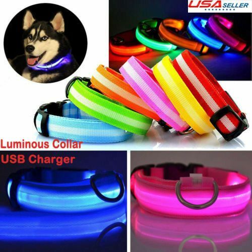 USB Rechargeable LED Dog Light Up Safety Collar Night Glow Adjustable Bright USA