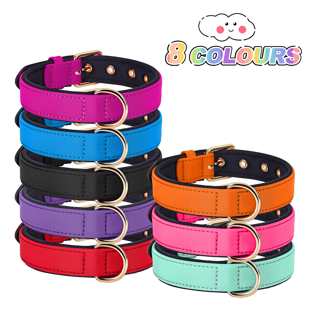 Personalized Nylon Dog Collar Custom Name Phone Print Soft Padded Adjustable S-L