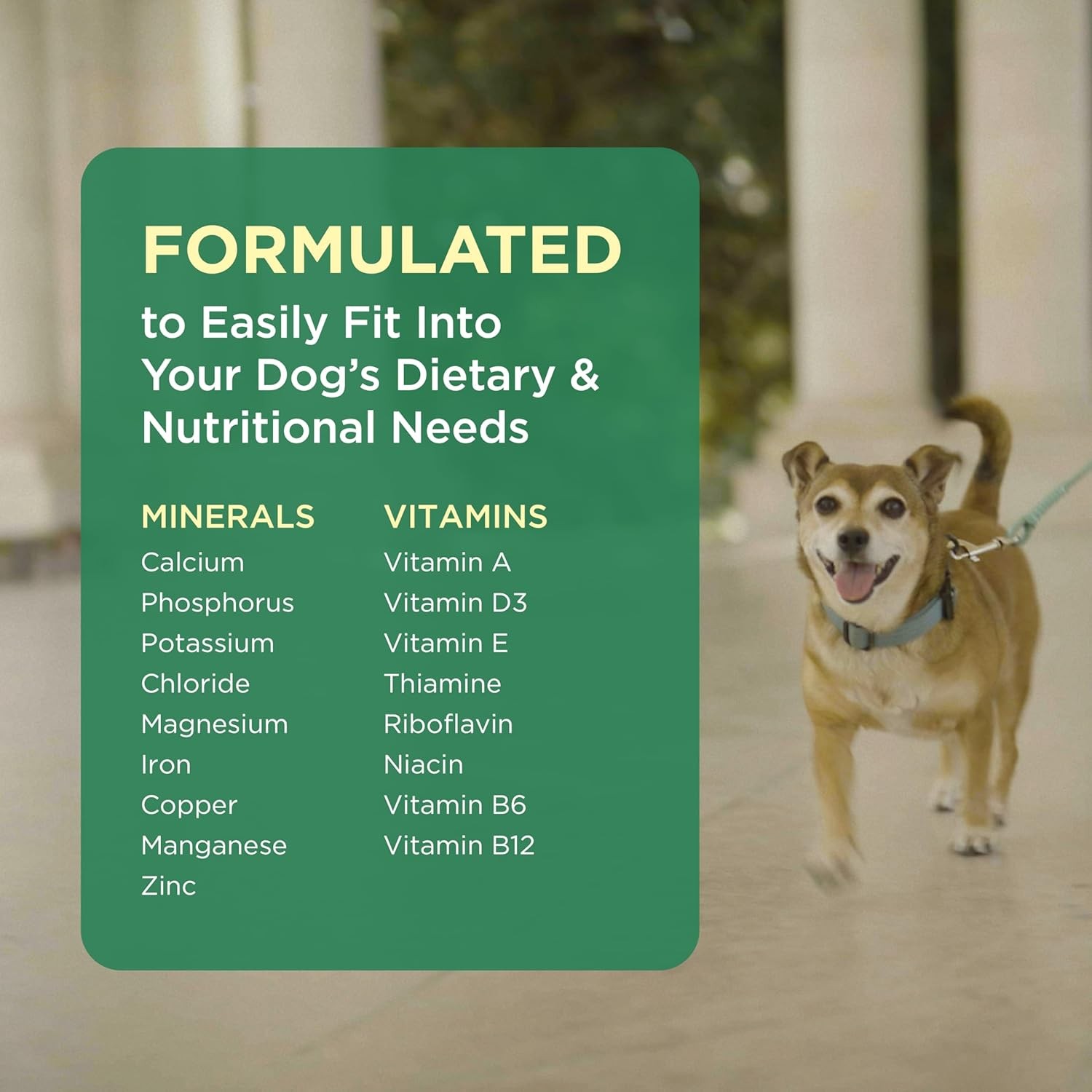 Multivitamin and Mineral Supplement for Dogs, Chewable Tablet, 60 Count Bottle