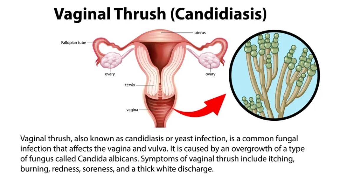 ALL NATURAL ORGANIC HERBALS FOR WOMEN & MEN – 100% NATURAL THERAPY – MADE IN USA