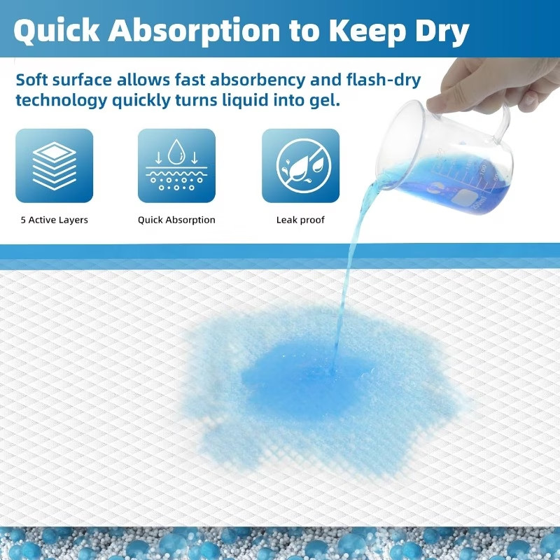Heavy Water Absorbent Dog Training