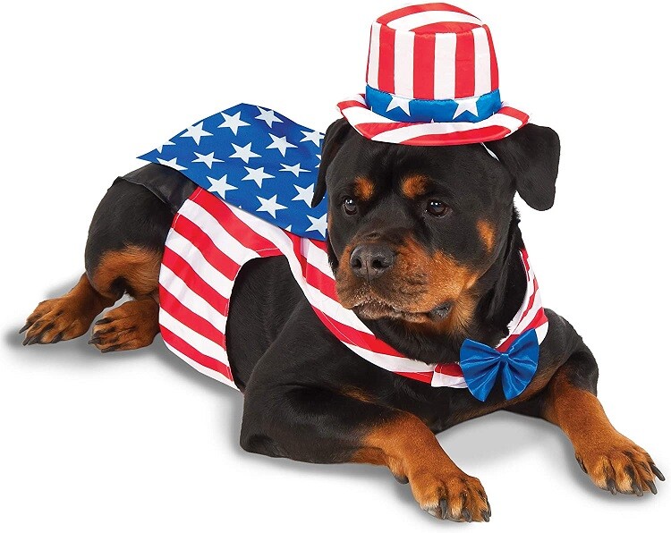Rubie’s Uncle Sam Pet Costume, XXXL