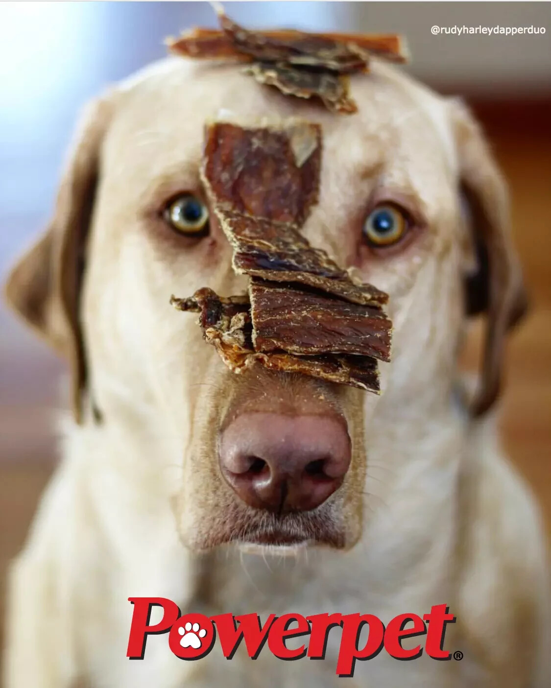 Powerpet/Beef Gullet Chips/ALL NATURAL Dog Treats/BRC CERTIFIED