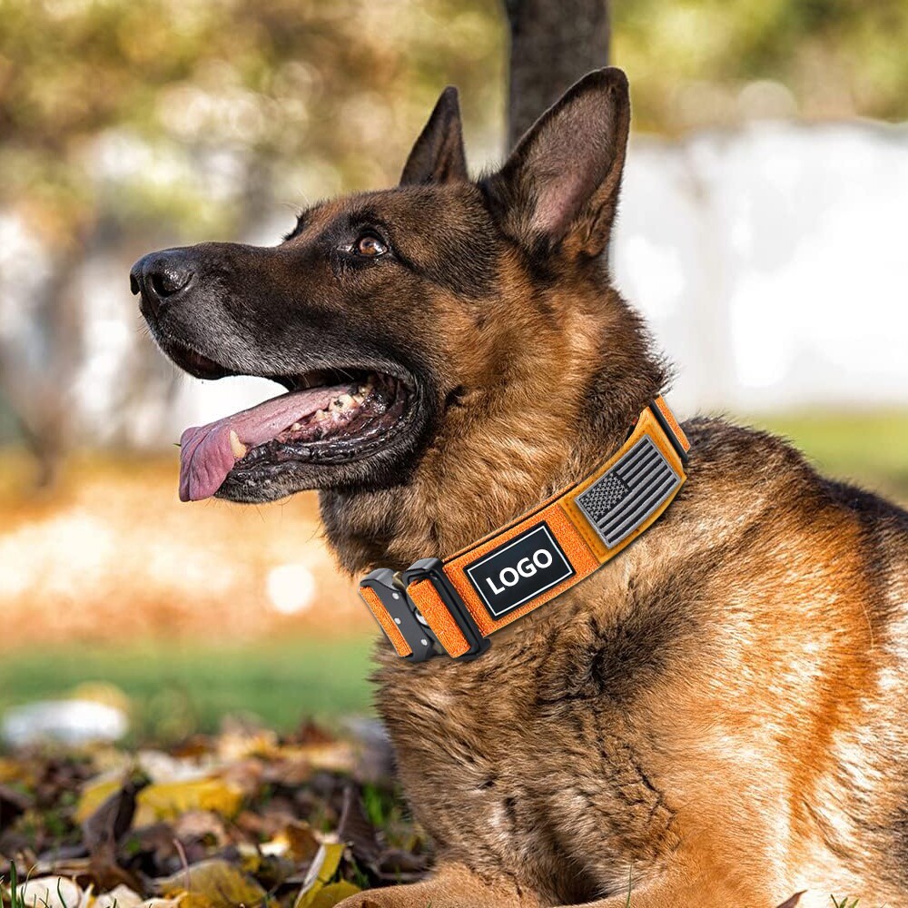 TSG Nylon Heavy Duty Dog Collar With Handle CanineTraining Walking