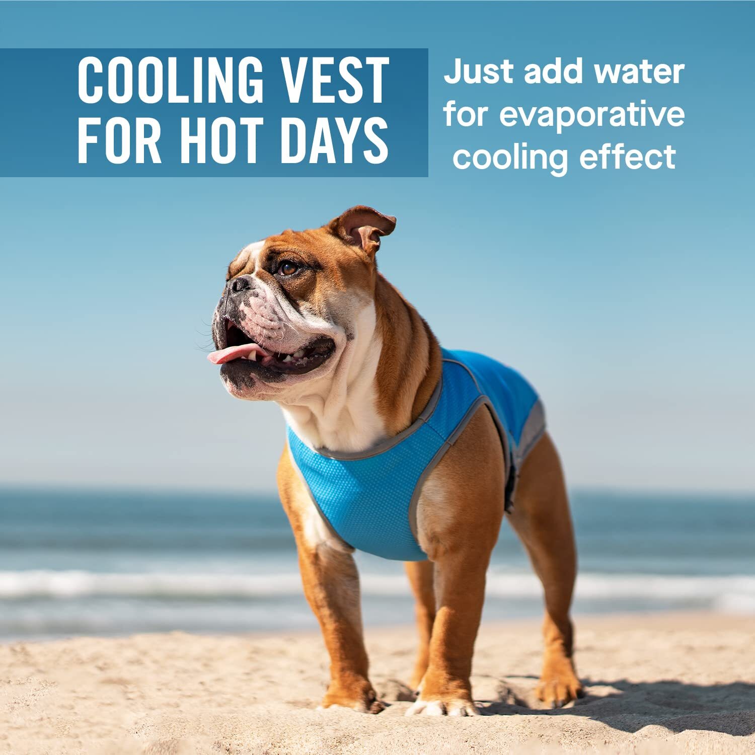 Canada Pooch – Chill Seeker Dog Cooling Vest, Breathable Mesh Material, Aqua, 8