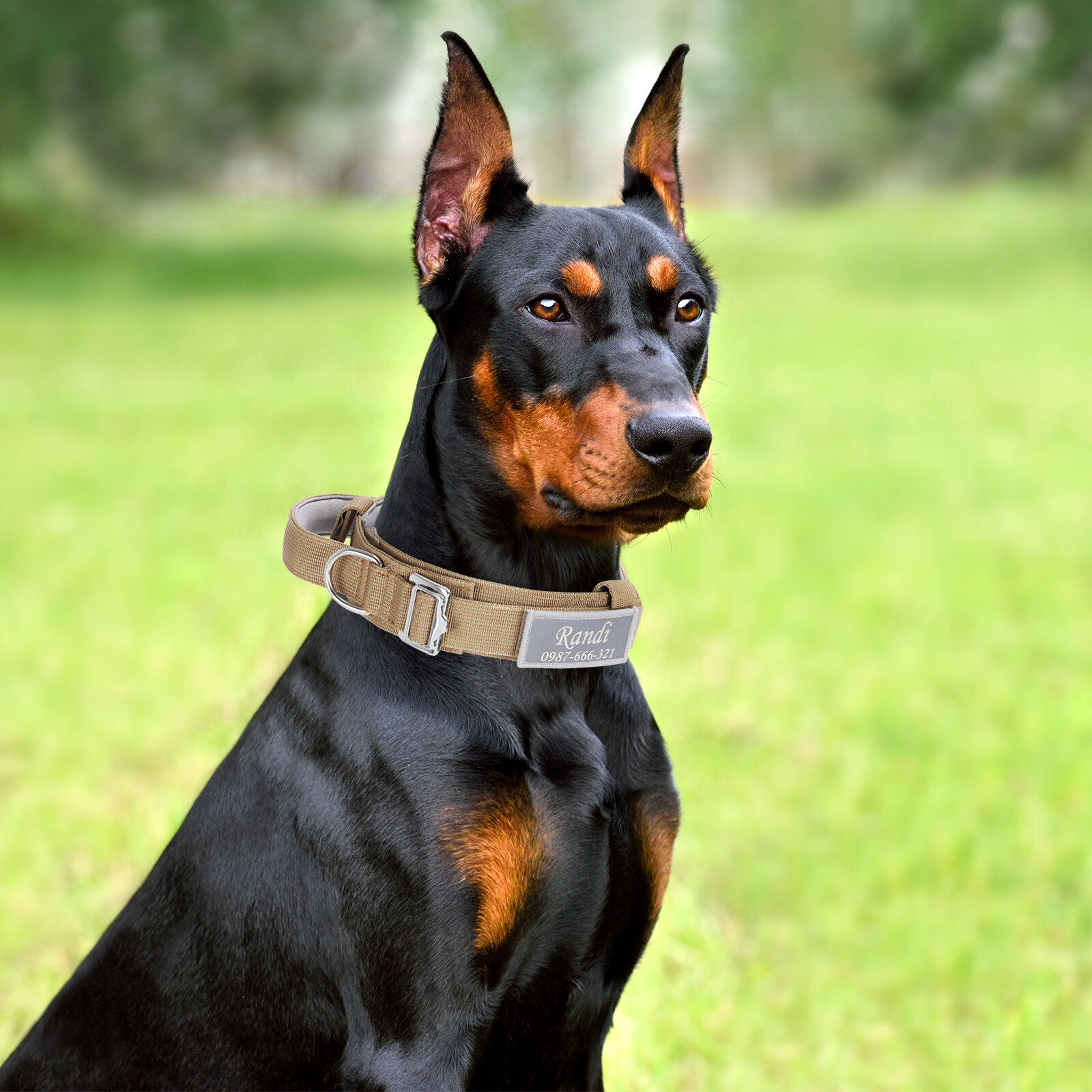 Tactical Dog Collar Heavy Duty Nylon Military Metal Buckle Adjustable Handle New