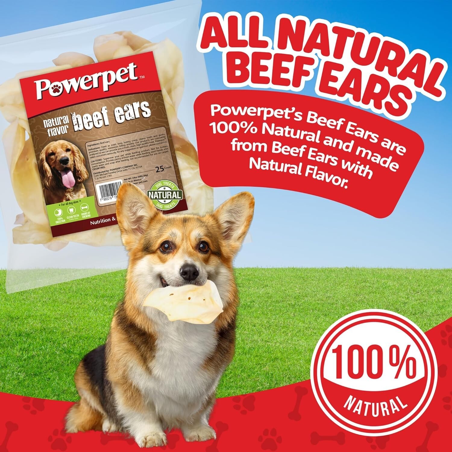 ALL NATURAL Beef Cow Ears-DOG Treats 25CT Natural Flavor-FDA & USDA APPROVED