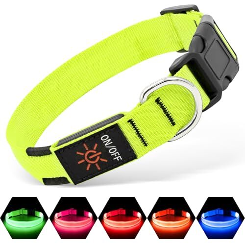 Illumifun LED Dog Collar, USB Rechargeable Light Up Assorted Sizes , Colors