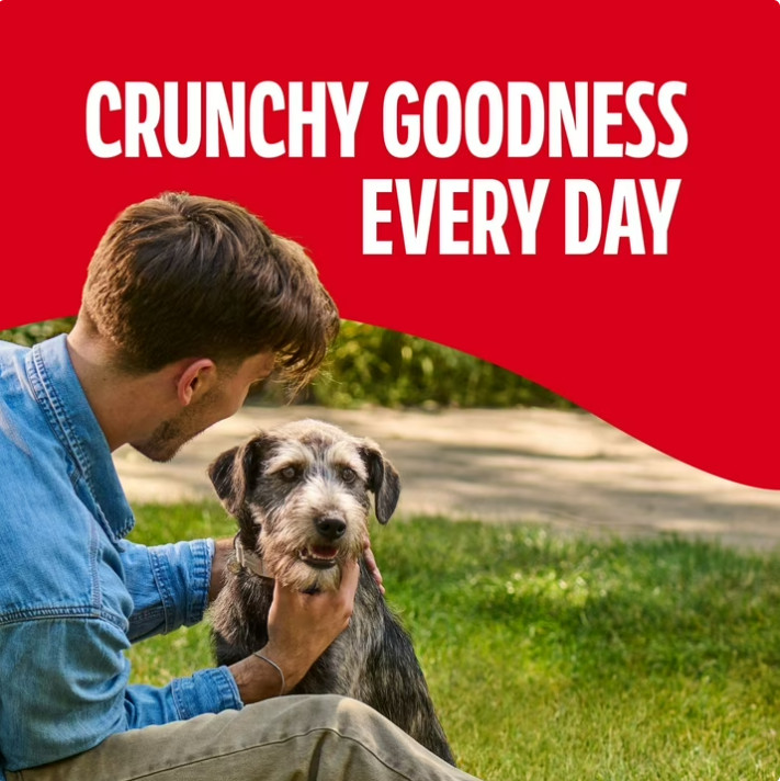 3 Box Milk Bone Original Biscuits, Medium Dog Treats, 10 Lb Box