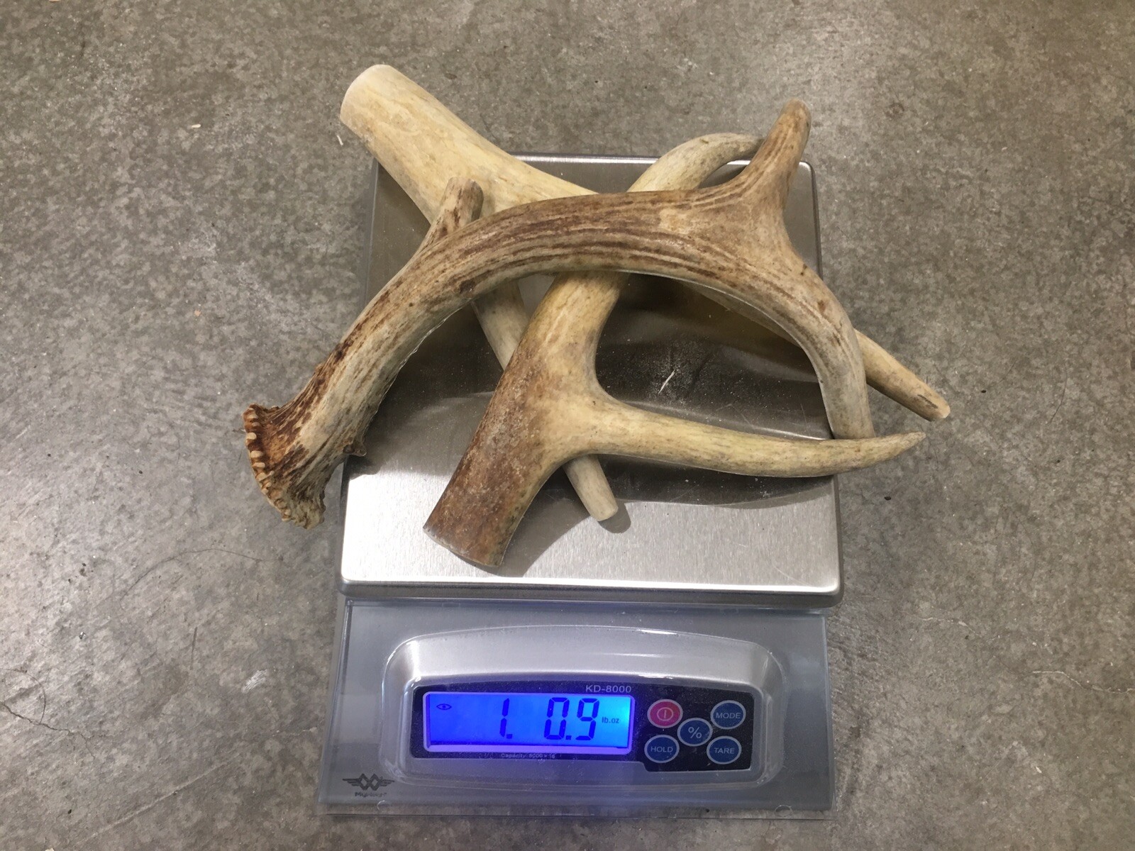 1 Pound Cheap Chews Deer & Elk Antler Dog Chew Mix-M/L LOT Bulk Fork Large SALE