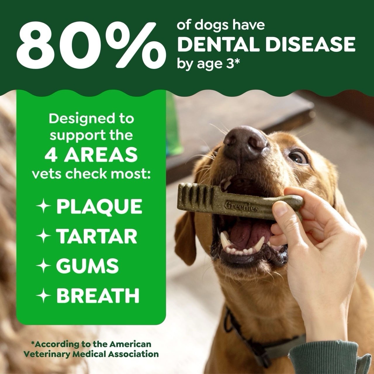 GREENIES Original LARGE Natural Dog Dental Care Chews ,36 oz. Pack (24 Treats)