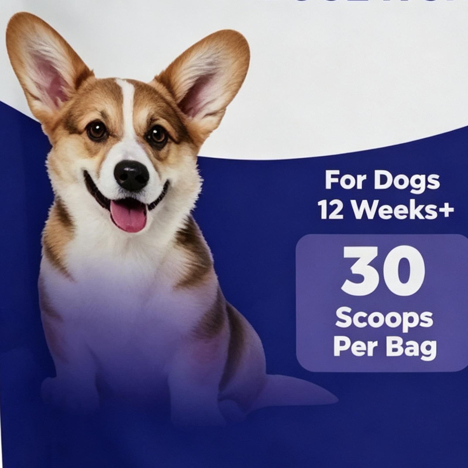 K9 Belly Bliss Dog Probiotic Powder 30 Scoops Gut Digestive Support