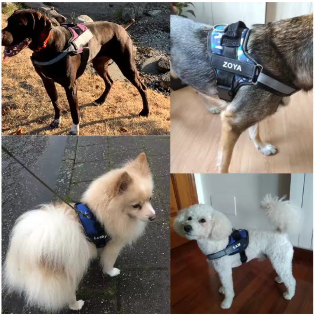 No Pull Dog Pet Harness Reflective Adjustable Control Vest Personalized ID Tag