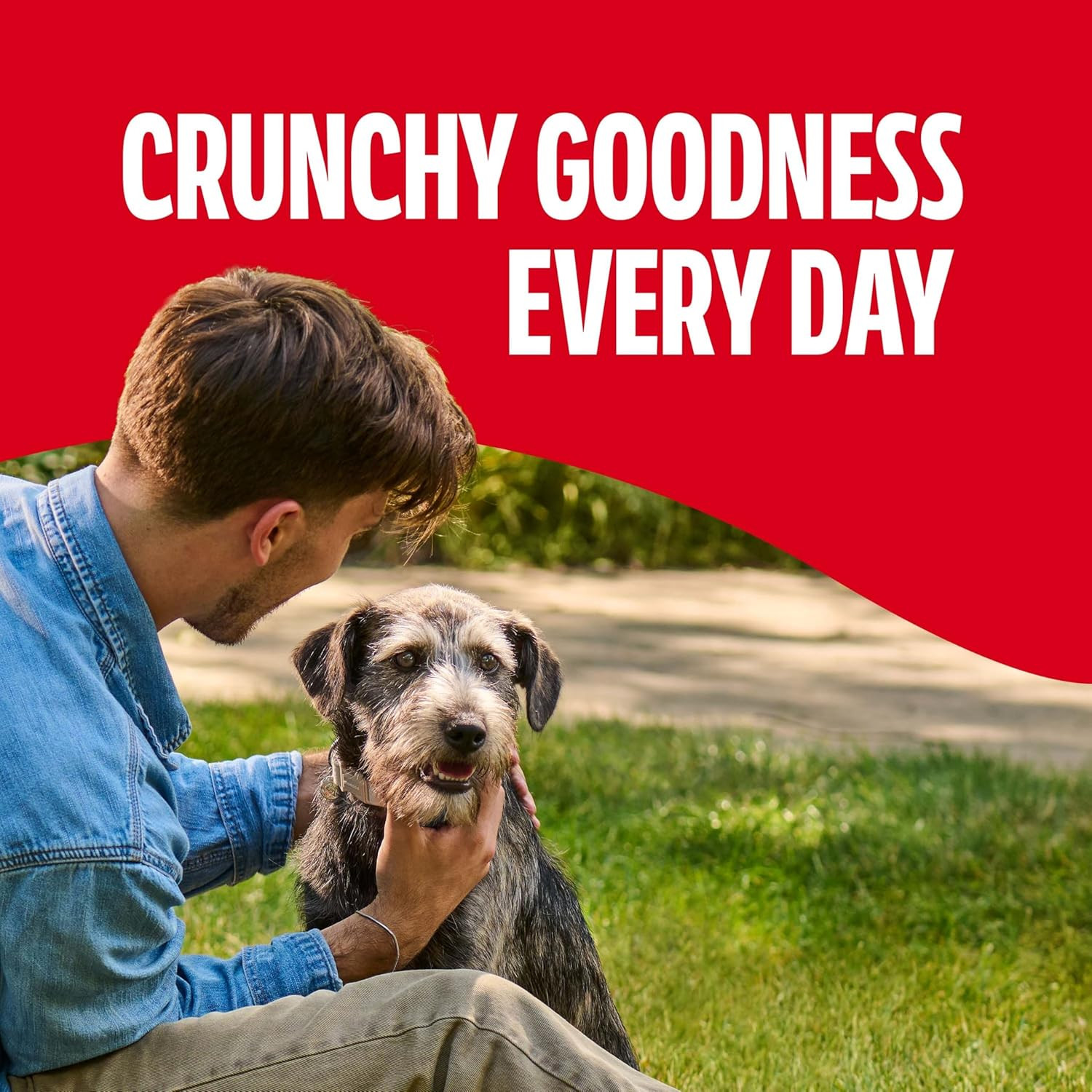 Original Dog Treats Biscuits for Medium Dogs, 10 Pound