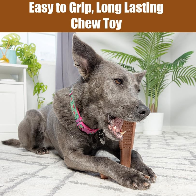 Durable T Bone Chew Toy For Aggressive Chewers Promotes Dental Health 7X5 Inch