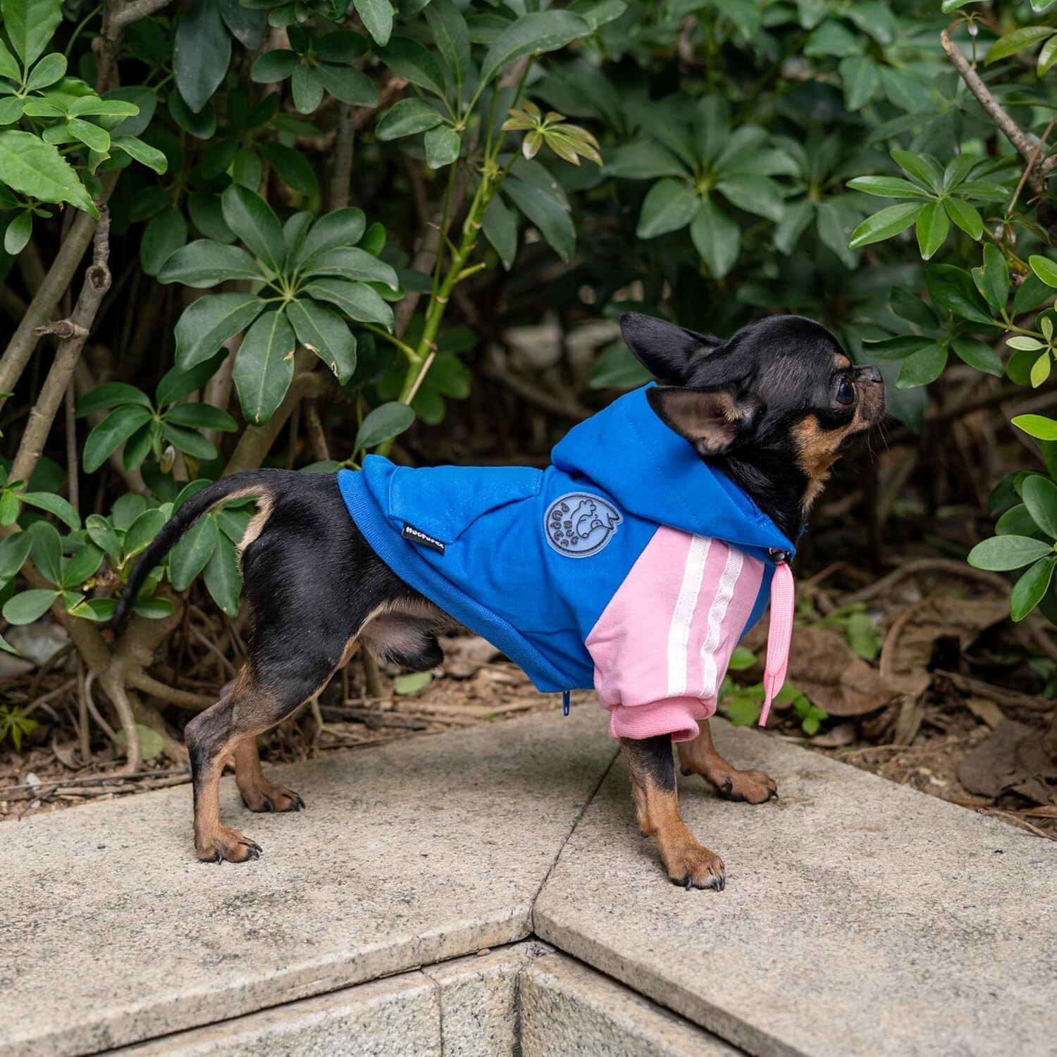 Dog Clothes Hoodie Cozy Warm Outfit Sweater Pullover Hug Pupee