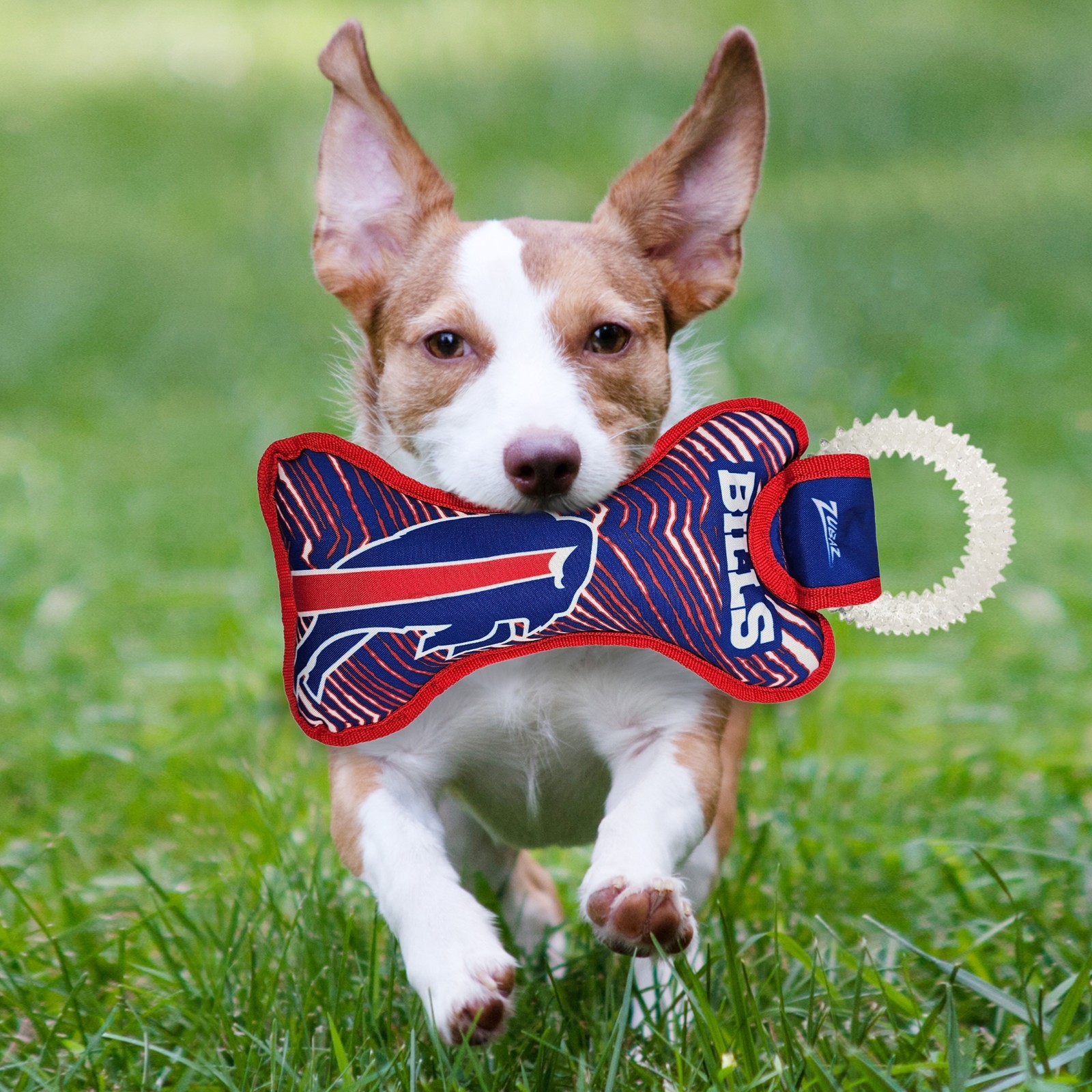 Pets First NFL Zubaz Dental Ring Toy for Dogs & Cats Dog Chew Toy with Squeaker
