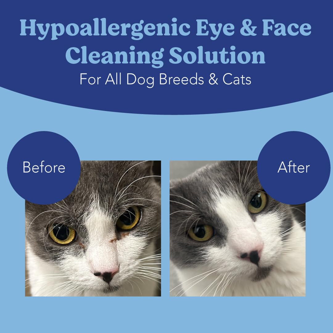 Angel’S Eyes Gentle Tear Stain Wipes for Dogs and Cats – 100 Ct – Presoaked Text