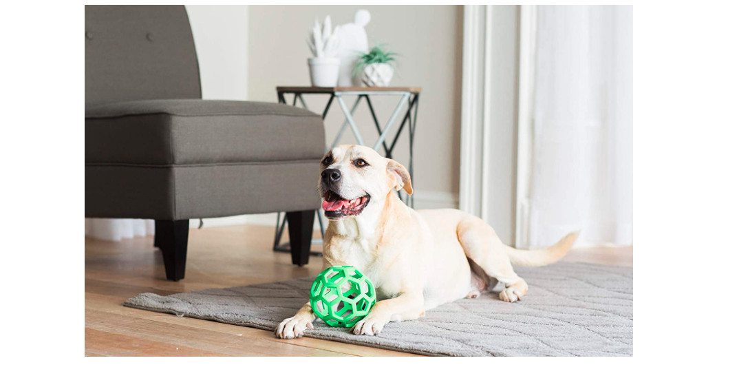 Squeaky Dog Toy Chewing Toys Small Ball Roller Rubber Dogs Chew Safe Non Toxic