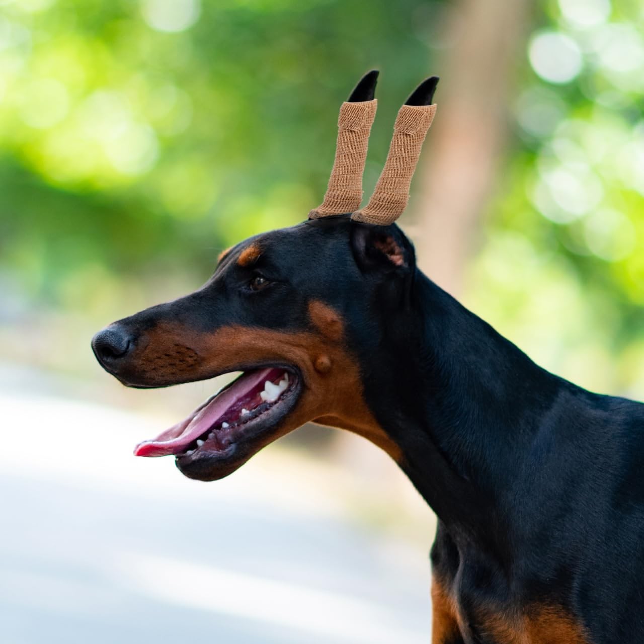 POPETPOP 2 Sets Dog Ear Posting Kit – Doberman 14.00X8.00X7.00CM, As Shown