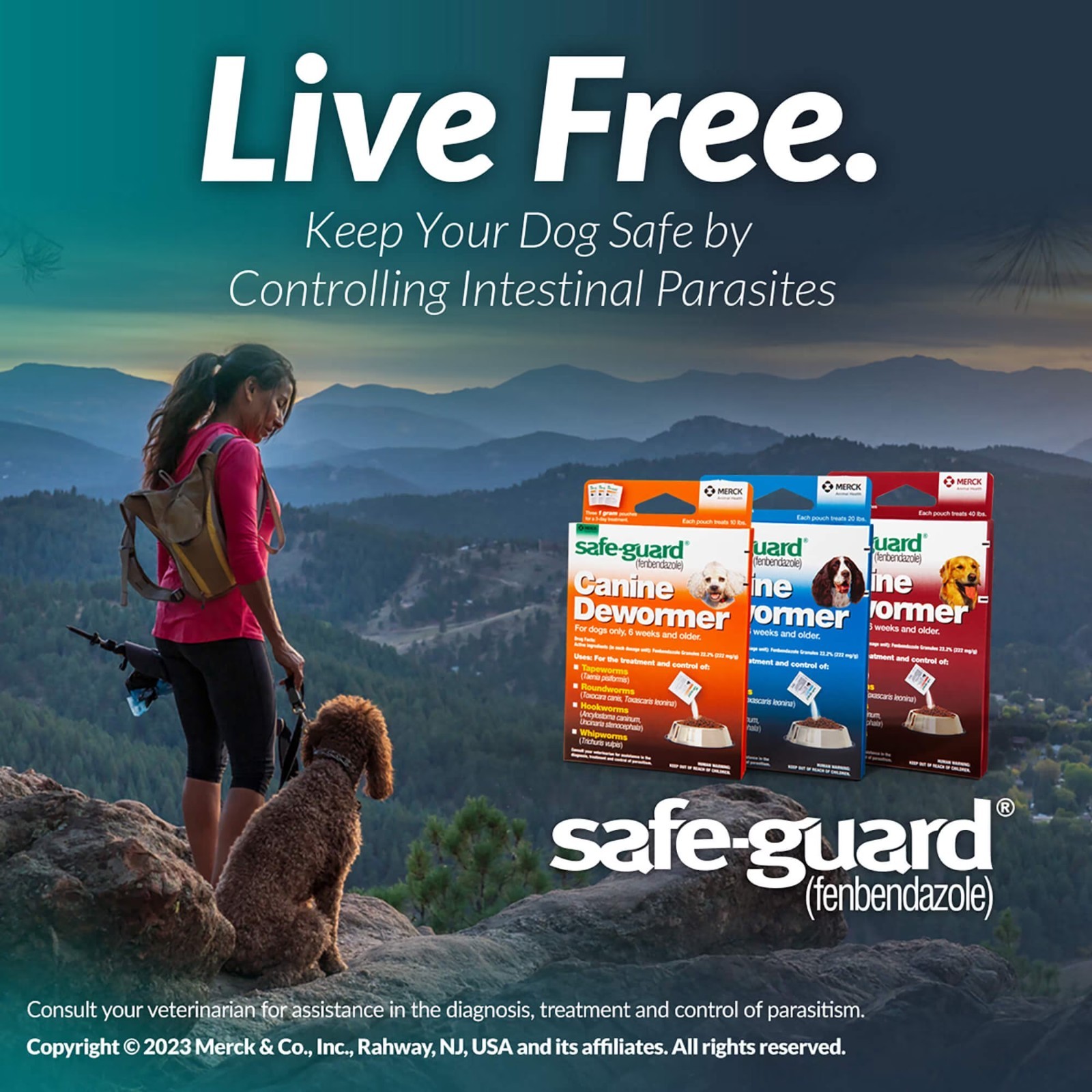 Safe-Guard Panacur Canine Dewormers K9 Dogs 40 lbs 4gm 3-Pack