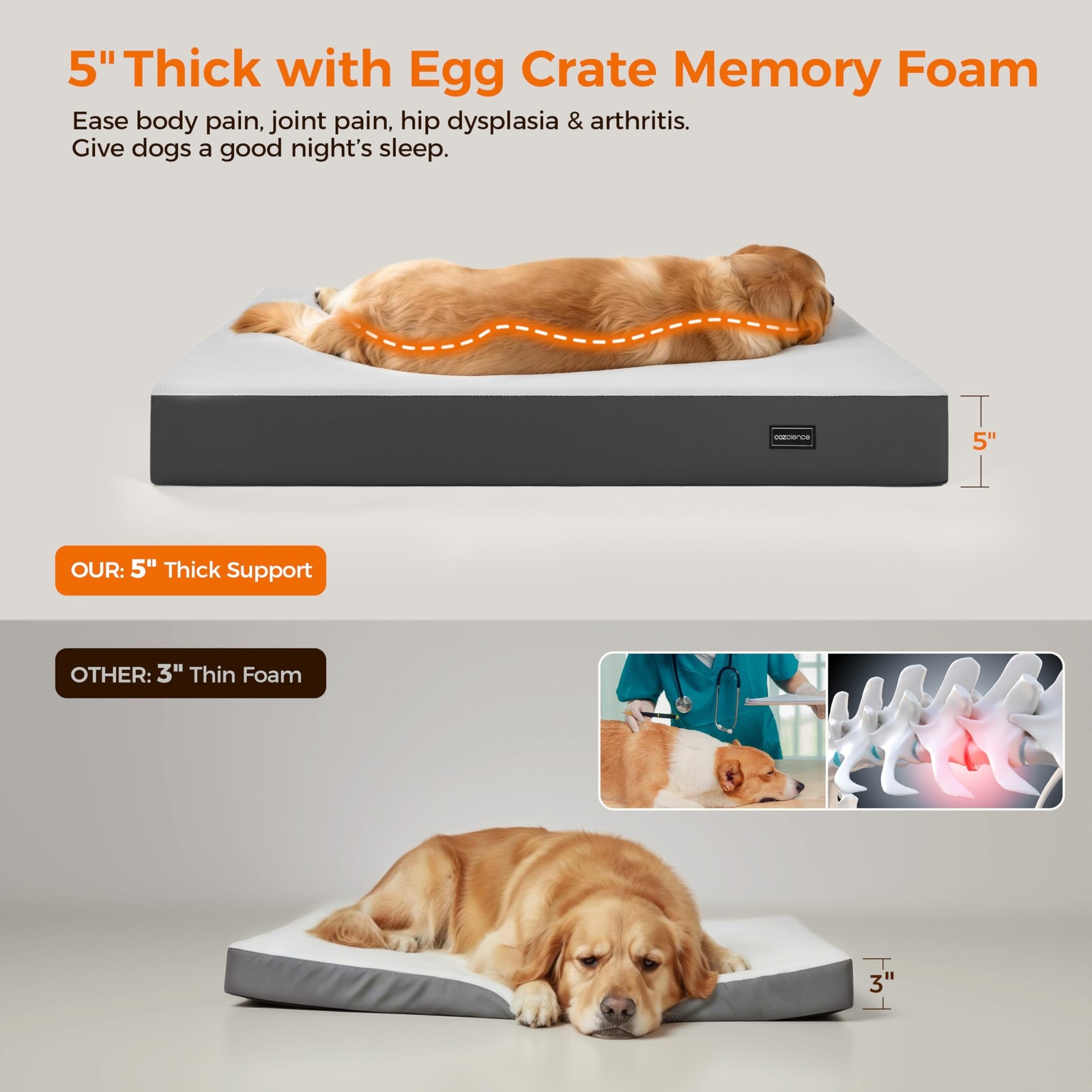 5 Inch Thick Orthopedic Dog Bed for Medium & Large Dogs, High Density Egg Cra…