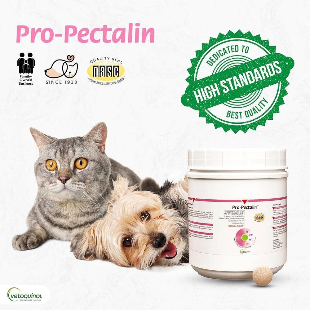 Pro-Pectalin Anti-Diarrheal Tablets for Dogs & Cats (250 Tabs)