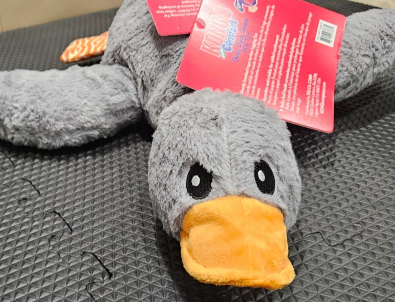 KONG Comfort Duck Goose Jumbo Gray Plush Squeaky Crinkly Toss Shake Dog Toy 18″