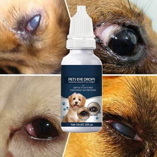 Lanosterol & NAC Dog/Cat Eye drops – Cataracts, Dry Eyes, Tearing, Lubricating