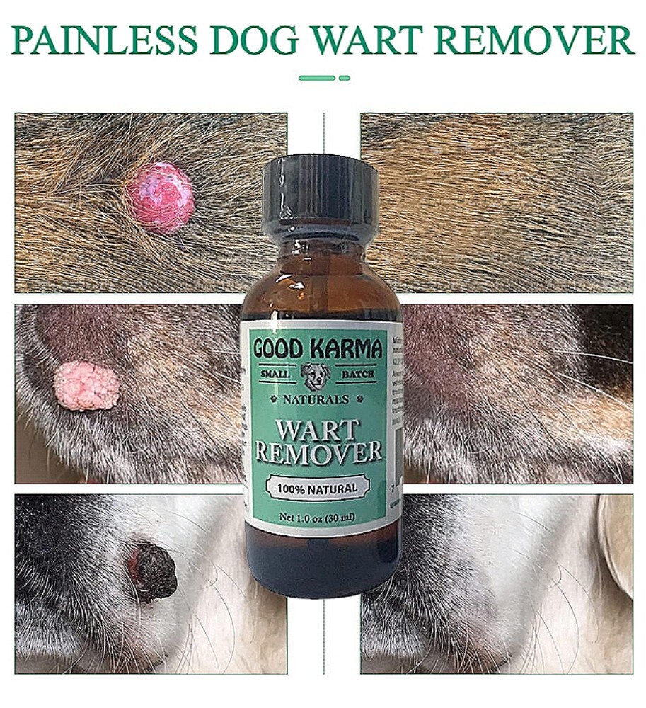 DOG WART REMOVER – ALL NATURAL PAINLESS DOG WARTS REMOVAL TREATMENT GOOD KARMA