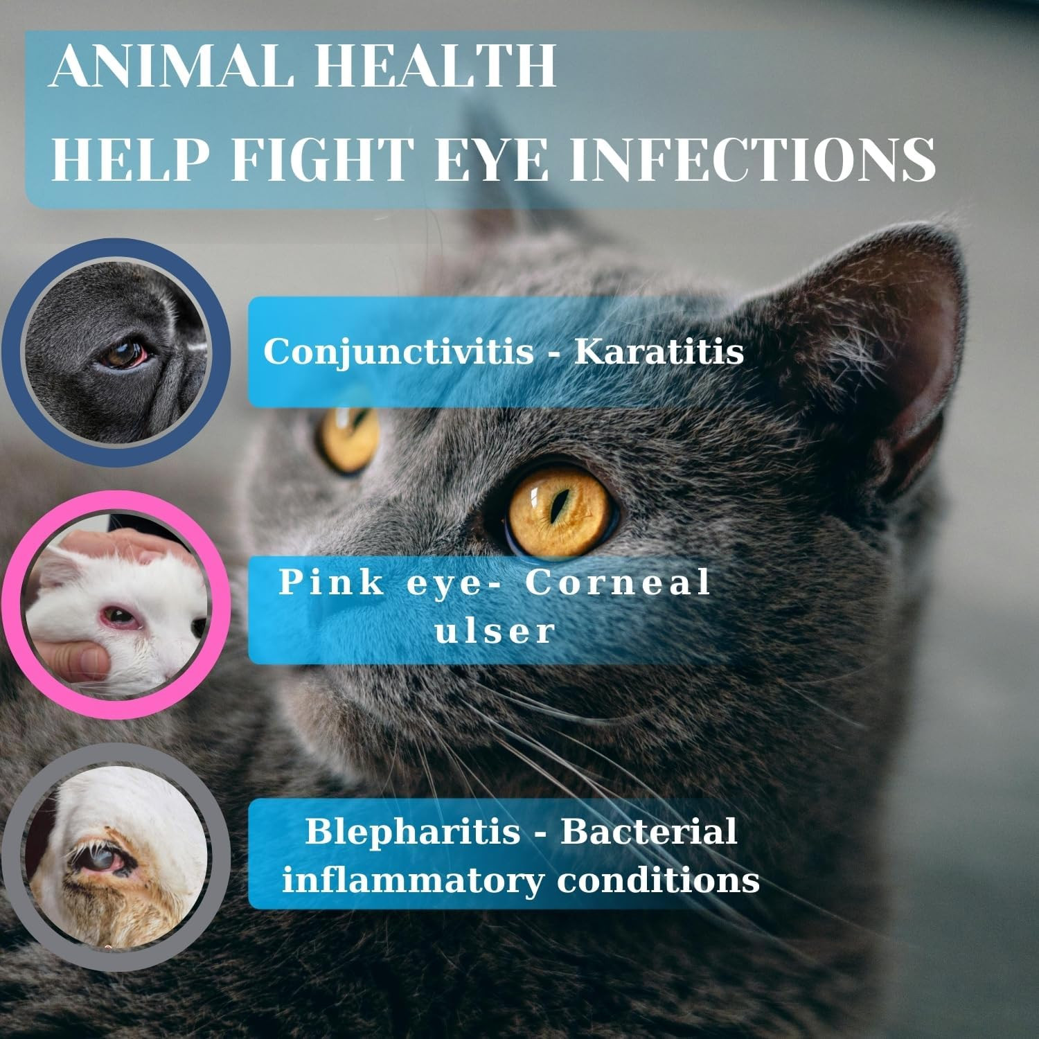 Pet Eye Care Ointment for Dogs, Cats, Cattle, Sheep, Horse, Bird 1/8 oz / 5 gr,
