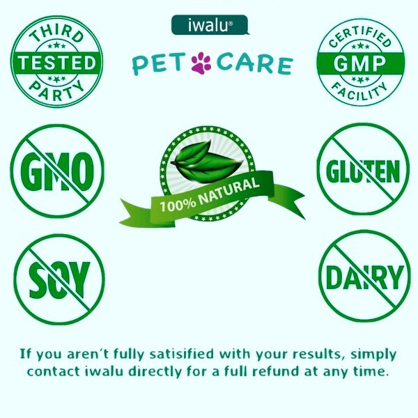 BEST Healing Soothing Spray Dog Cat Skin Irritation Dermatitis Wounds Bites