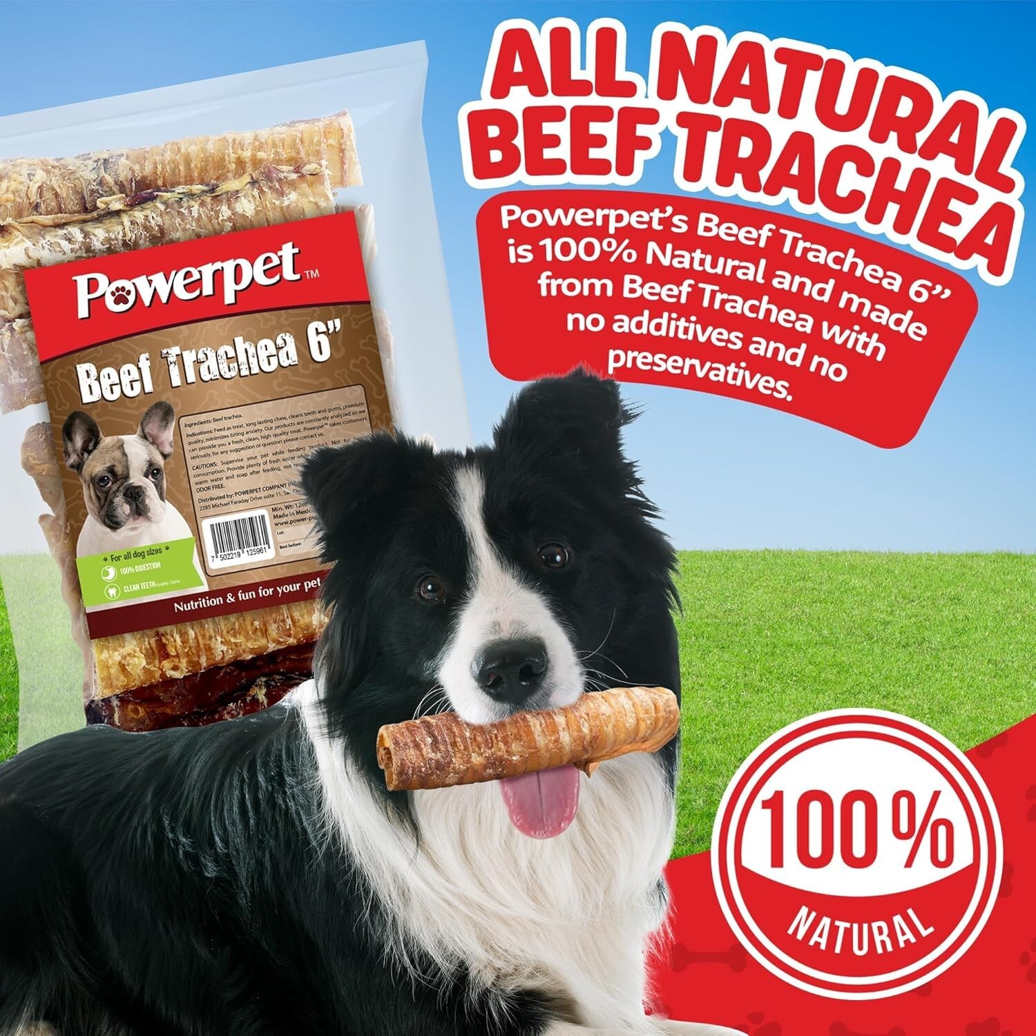 Beef Trachea 2in- BULK- Natural Dog Chew-100% BRC CERTIFIED