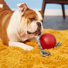 Jolly Pets Romp-n-Roll 6 inch Red Rubber Ball with Rope for Dogs