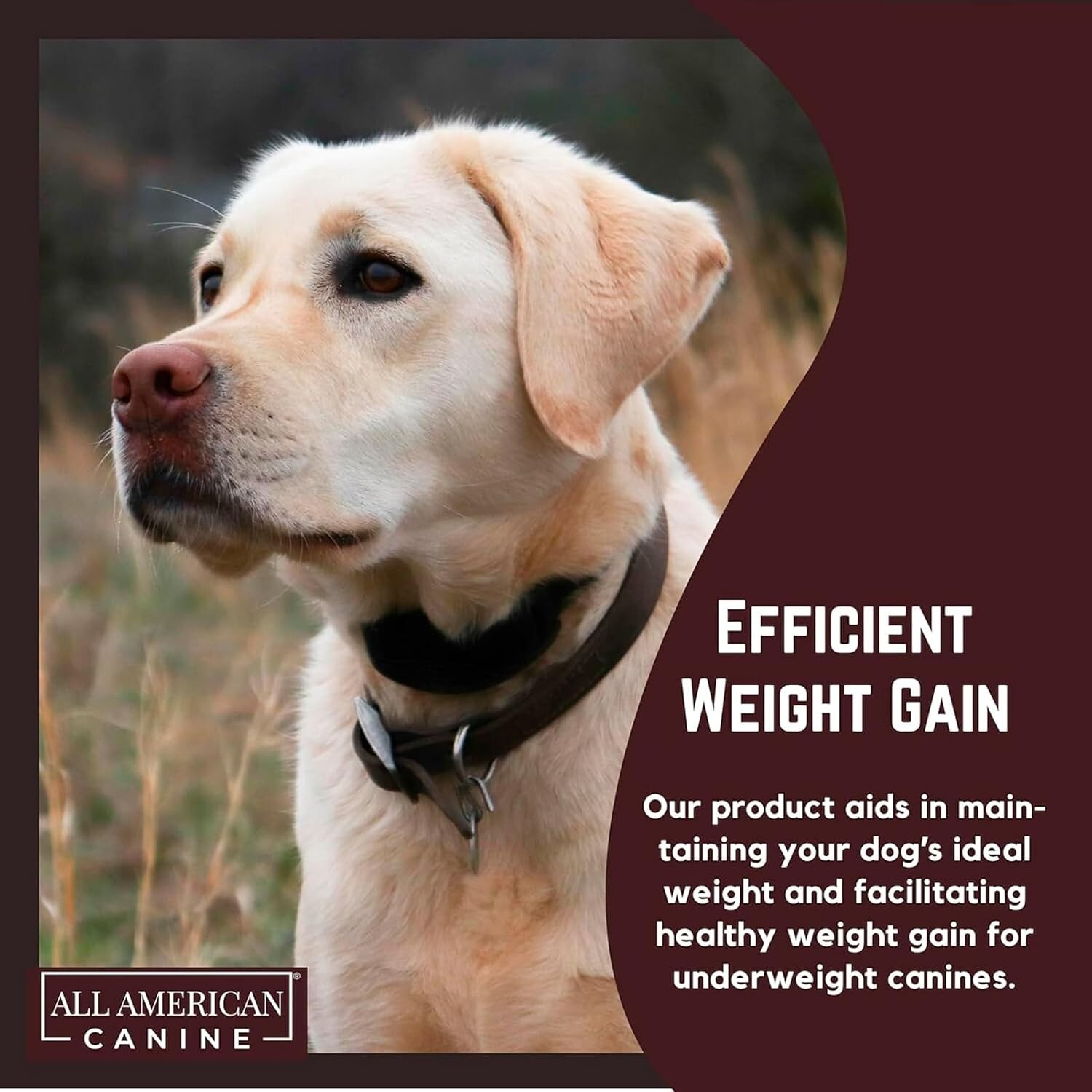 Dog Weight Gainer – Dog Protein Powder – High Calorie Dog Food Supplement