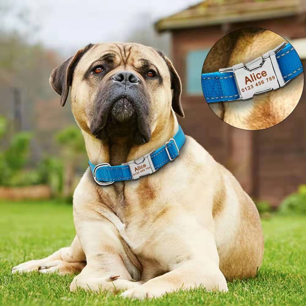 Personalized dog collar engraved custom ID Tag Name Number Nylon reflective S-XL
