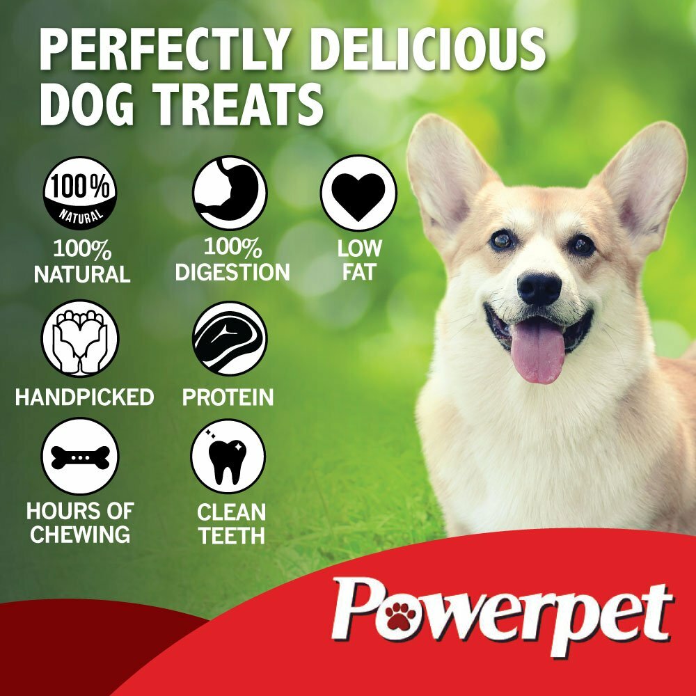 All Natural Beef SMOKED Cow Ears DOG Treats 50 count -BRC Certified