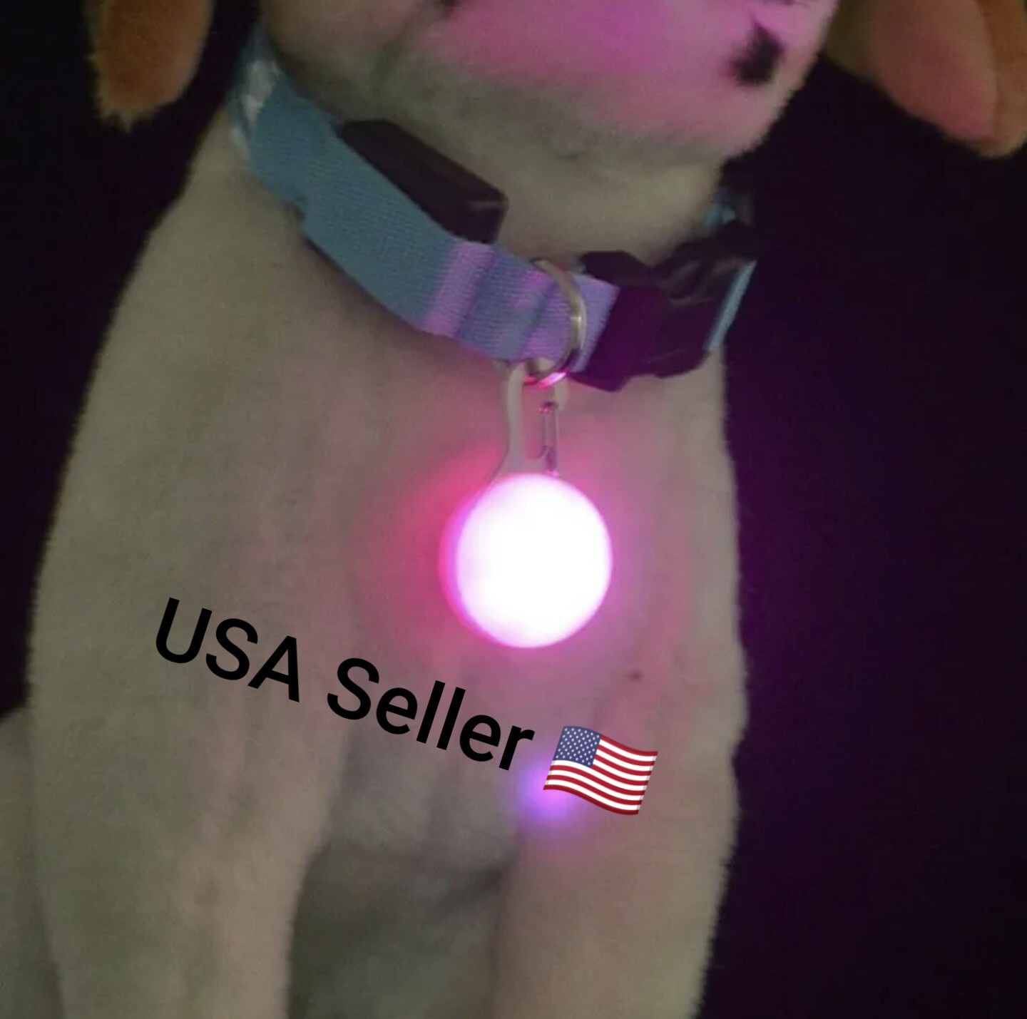 1pcs Pet Collar Pendant LED dog collar Night light pendant security luminous