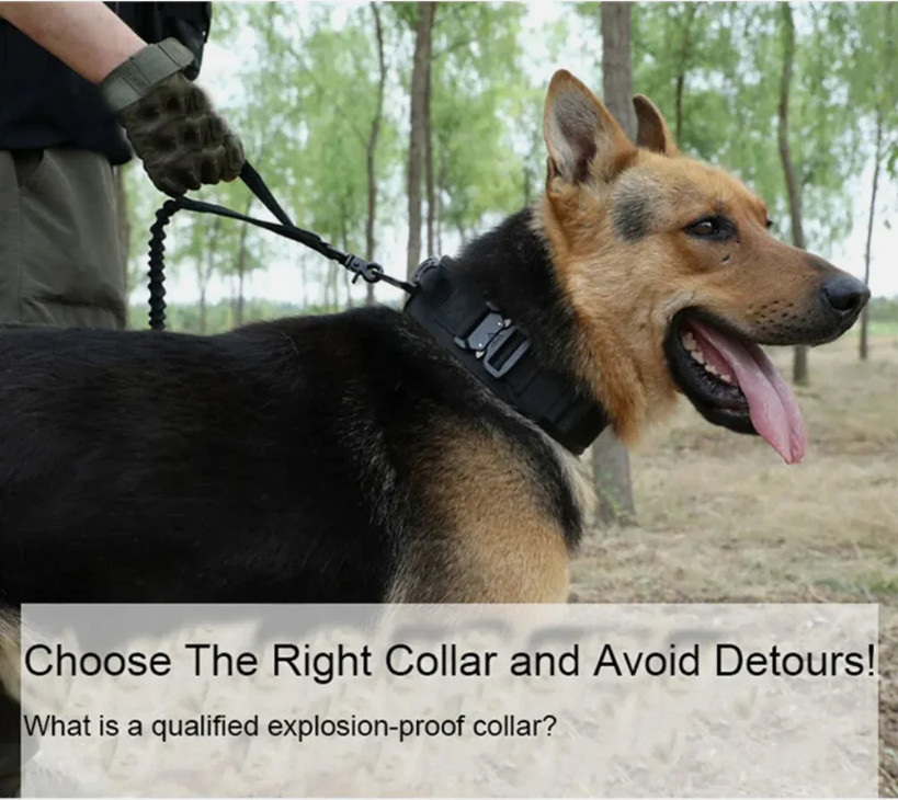 Tactical Dog Collar w/ Handle +Leash Heavy Duty Military Service Canine Training